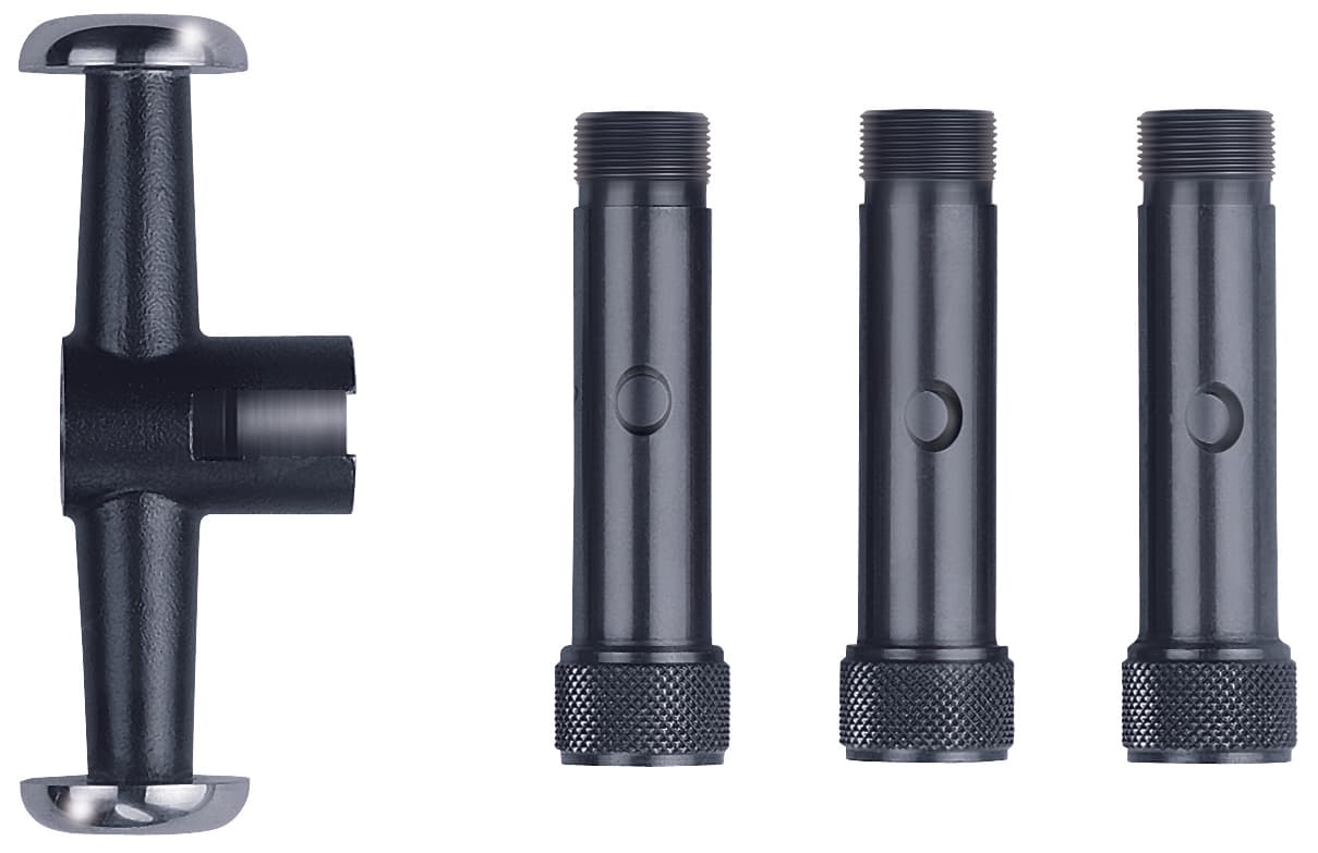 Extensions set for VERIBOR